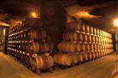 Chinon cellar and barrels