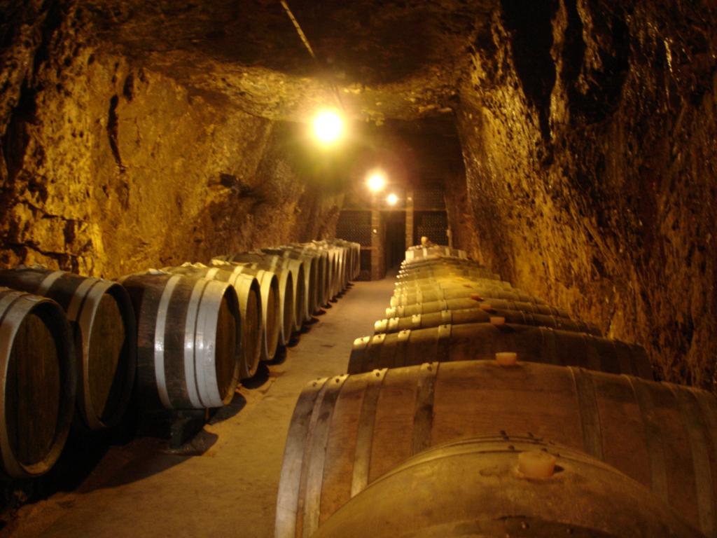 Bourgueil wines in barrels